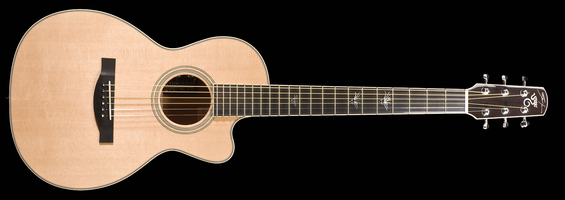 Janis Ian by Santa Cruz Guitar Co.
